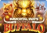 Buffalo